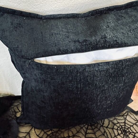 Dwell Studio Black Soft Chenille Velvet Feather Throw Pillow - Picture 3 of 4